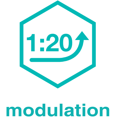 Modulation 1:20